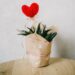 red heart ornament and aloe vera plant covered with paper