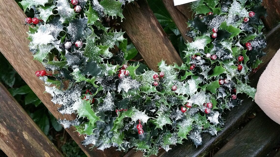 Christmas Holly Wreath