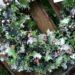 Christmas Holly Wreath