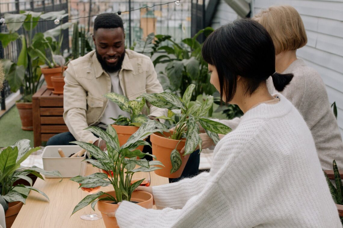 a group of people engage in gardening