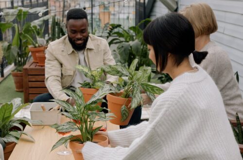 a group of people engage in gardening