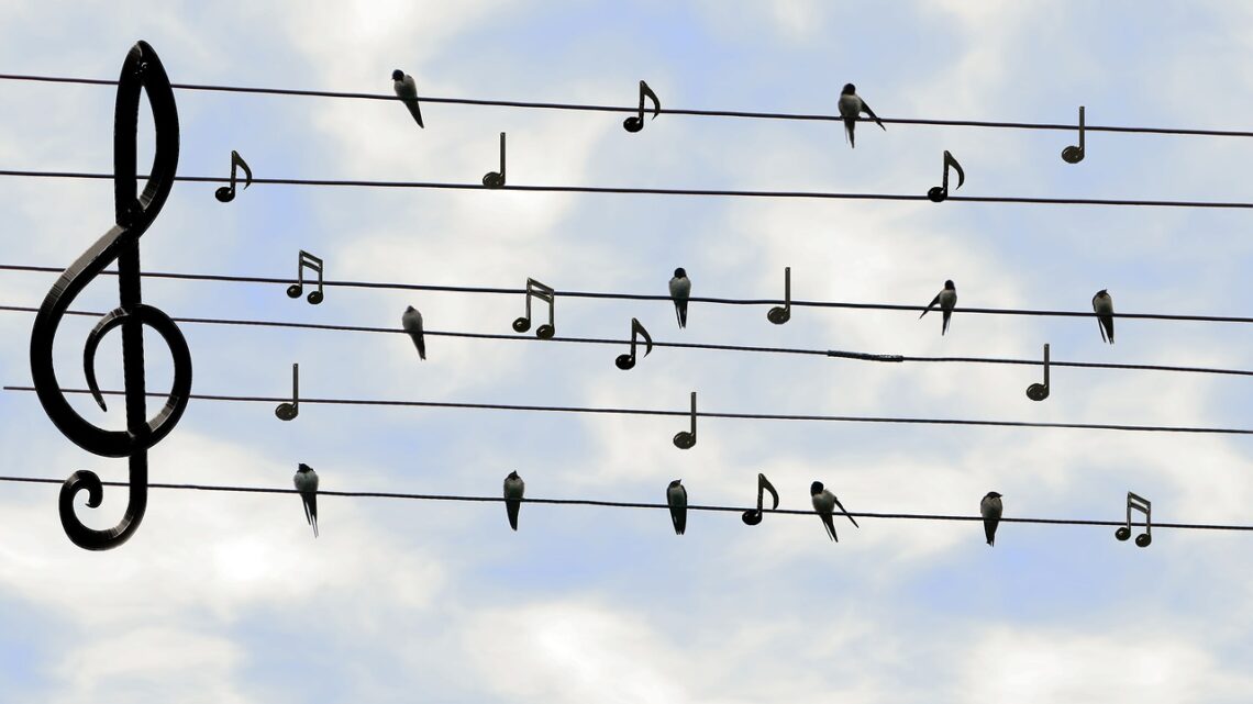 Birds and music notes on lines against a blue sky