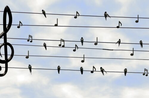 Birds and music notes on lines against a blue sky