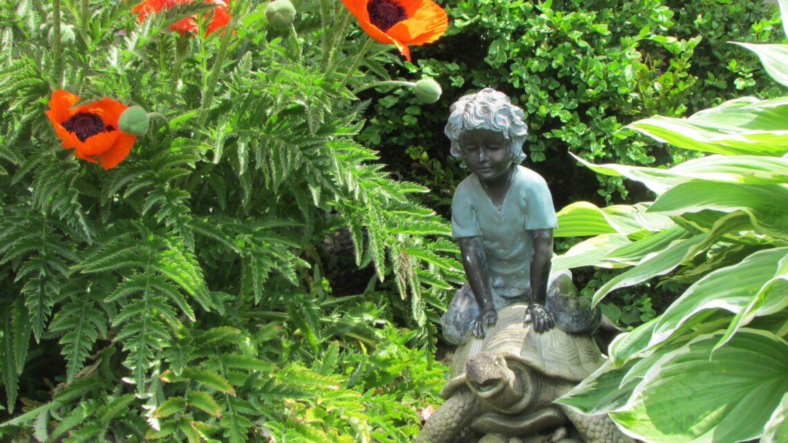 Boy on a tortoise in the garden