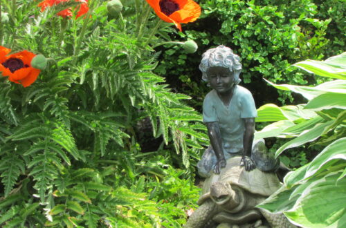 Boy on a tortoise in the garden