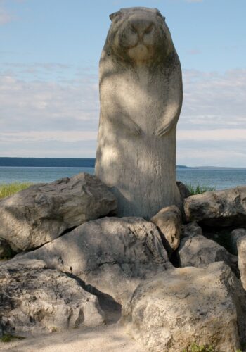 Wiarton Willie statue, Wiarton, Ontario © J. L. James