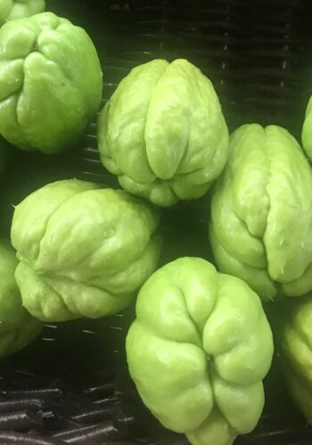 Cayote in a basket © J. L. James