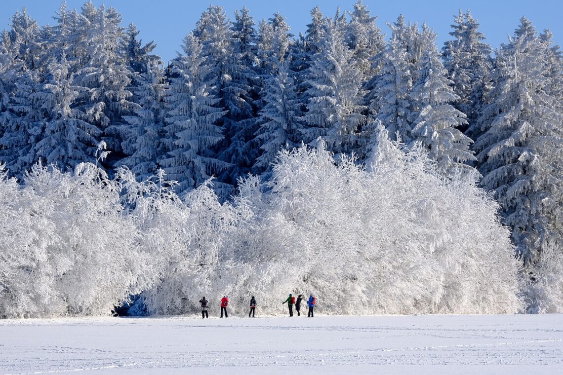 Winter snow scene with six figures in the distance.