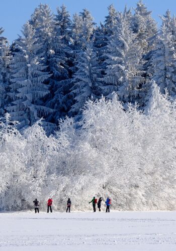 Winter snow scene with six figures in the distance.