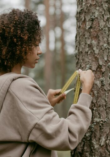 Woman measuring tree trunk. Citizen Scientist