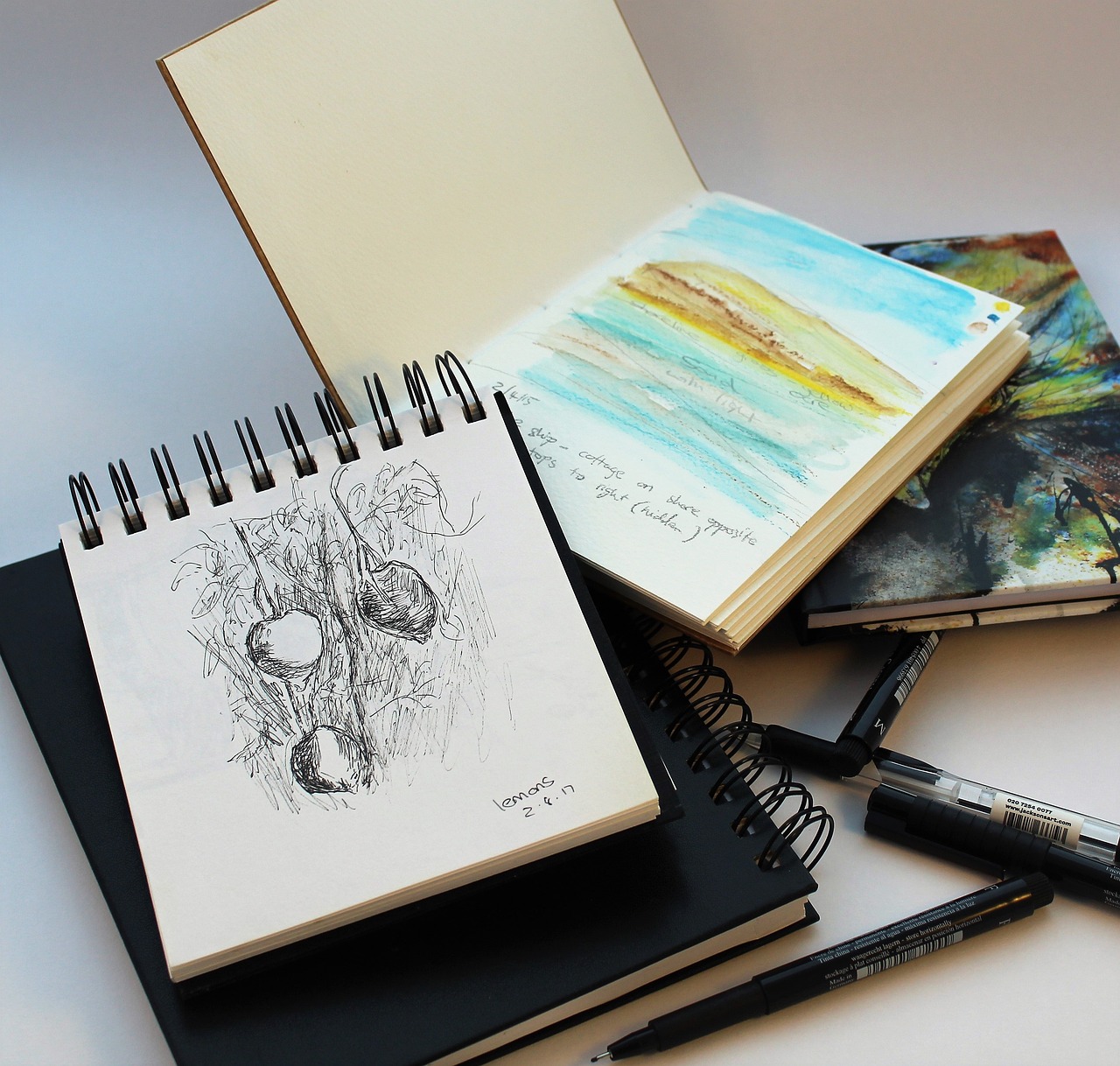Nature Sketches and three notebooks and pencils
