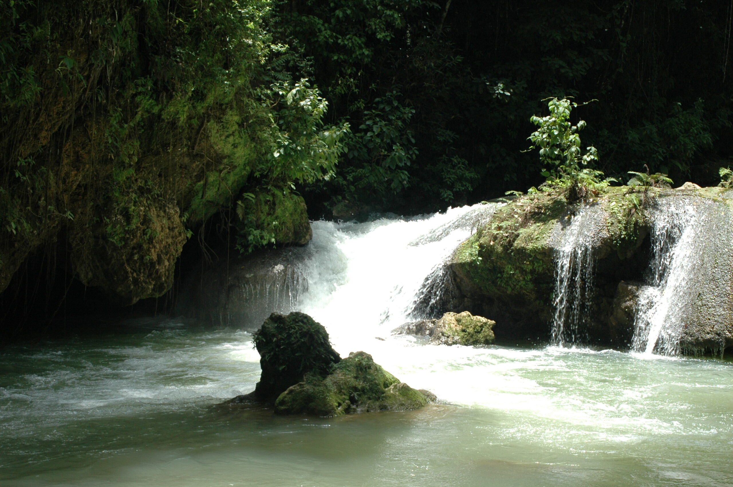 Y. S. Falls, Jamaica
