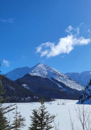 View of the Natural Beauty of the Yukon Territory, Canada