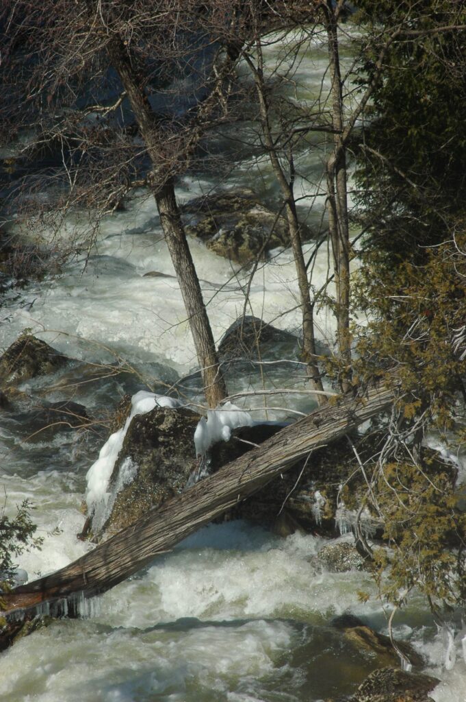View looking down as Inglis falls moves down through the valley.
A fallen branch in the foreground frames the lower photo. 