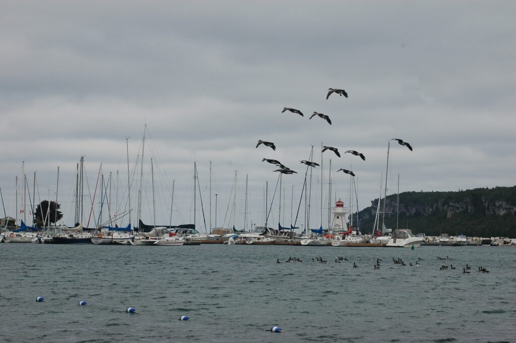Marina, Lion's Head, Canada © J. L. James